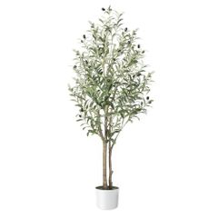 Item thumbnail for item 92441c02-61c8-4b93-b39e-90e7d3da8412