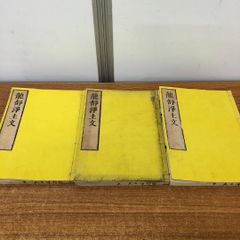 ▲01)【同梱不可】龍舒増広浄土文 全12巻3冊セット/浄土真宗/宗教/信仰/思想/仏教/佛教/A