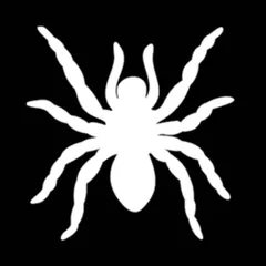2024年最新】蜘蛛 タランチュラ スパイダーの人気アイテム - メルカリ