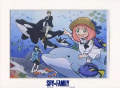 【中古】雑貨 B メインビジュアルA4キャラファインマット 「SPY×FAMILY」 AnimeJapan 2024通販限定