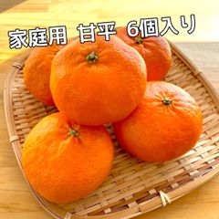 愛媛県産　家庭用　甘平　6個