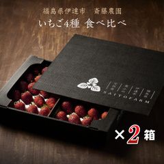 いちご 【斎藤農園】4種 食べ比べ (15～20粒 300g)×4P 福島県伊達市 《5/1～5/10より出荷》