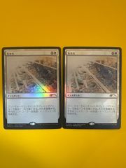 MTG 忌まわしき眼魔 foil (DSK EN) - メルカリ