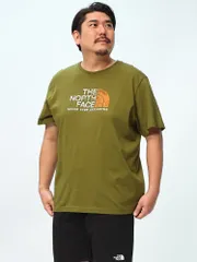 THE NORTH FACE ザ ノースフェイス 半袖 Tシャツ ダメージ風 ロゴ プリント クルーネック NF0A87NW スポーツ ロゴT カットソー 大きいサイズ メンズ カーキ