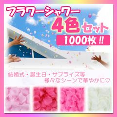 Item thumbnail for item 571e5ca1-2607-4eb6-9d23-a355ed3c3d84