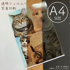 透明フィルム　写真印刷サービス A4サイズ／ 210×297mm／プレゼント　卒業式　結婚式　記念日　ペット　誕生日