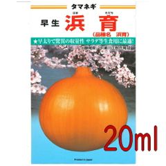 カネコ種苗　浜育　玉葱　２０ｍｌ