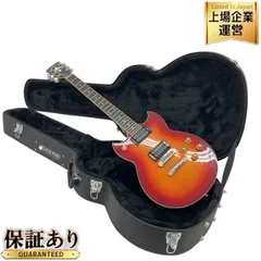 2024年最新】yamaha sg ハードケースの人気アイテム - メルカリ