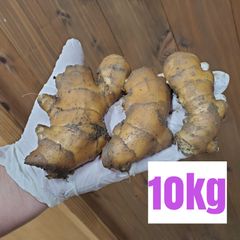 小ぶりこま割れ土付き囲い生姜10kg