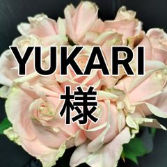 バラ   50センチ13本❨生花 切り花 ❩