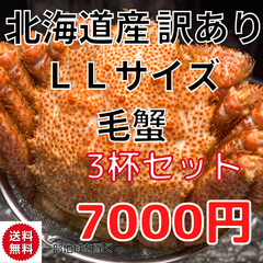 訳あり！　北海道産　冷凍毛蟹　410g~450g　3尾セット　けがに　かに