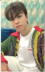 SEVENTEEN UMS VERNON あいのちから