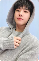 SEVENTEEN SPECIAL ver HOSHI SECOND WIND BSS