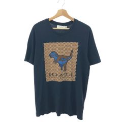 ☆タグ付き未使用品☆ポケットモンスター ポケドール ゾロア ポケモン