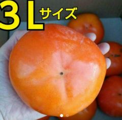 【家庭用】奈良県　富有柿　3L　7.5キロ箱