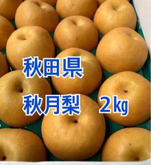 秋田県　秋月梨　2㎏