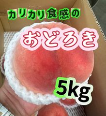 ‼️硬桃が好きな方‼️パリパリ☆ガリガリ☆【硬い桃】硬桃　おどろき桃　モモ　もも　硬い桃が大好きな方へ