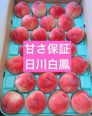 福島の桃　特秀品　甘さ保証　桃　もも