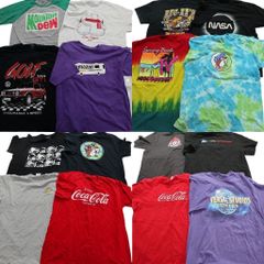 古着卸 まとめ売り 有名企業 半袖Tシャツ 16枚セット (メンズ L ) ウェンディーズ バッキーズ ユニバーサルスタジオ 中古 古着 NA6988