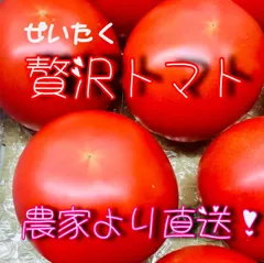 贅沢トマト🍅(ぜいたくとまと)＋α！農家直送！メルカリ便60！フルーツトマト！常温配送！