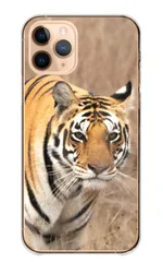 iPhone 13 iPhone13 ケース カバー アイフォン13 スマホケース ハードケース 虎 トラ タイガー ホワイトタイガー tiger かっこいい カッコイイ 動物 アニマル カラー02