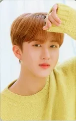 StrayKids NACIFICコラボ Changbin トレーディングカード 茶