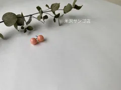 2025年最新】珊瑚原木の人気アイテム - メルカリ