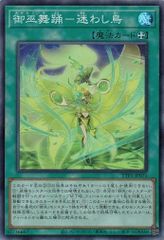 御巫舞踊－迷わし鳥 TTP1-JP071 【スーパーレア】 TACTICAL-TRY PACK －黒魔導・ＨＥＲＯ・御巫－ 遊戯王　トレカ道
