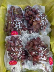 ペコちゃん様専用クール便