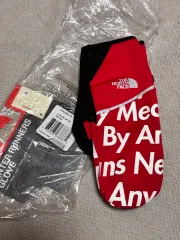 Supreme(シュプリーム) THE NORTH FACE(ザノースフェイス) レタリング 地球儀 レッド M