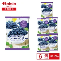 ブルーベリー　600g 常温メルカリ便発送 ブルーベリー 600g 常温メルカリ便発送 食品