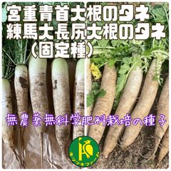 青首宮重大根と練馬大長尻大根のタネ　各40粒　固定種・無農薬無科学肥料栽培の種子