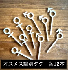 2025年最新】オベサ鉄甲の人気アイテム - メルカリ