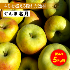 11月中旬発送予定 りんご選びで失敗したくない方におすすめ！「ぐんま名月5キロ箱訳あり品」農林水産大臣賞  長野県産 安曇野 信州産 産地直送