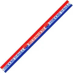 【中古】雑貨 今市隆二＆登坂広臣 フォンストラップ 「LDH PERFECT YEAR 2020 SPECIAL SHOWCASE RYUJI IMAICHI / HIROOMI TOSAKA」 オンラインブースグッズ