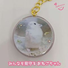 【再販】【１点限り】【おまけ付き】レジンキーホルダー 写真入り ハンドメイド ハムスターといっしょ 「みんなを見守る あねごちゃん」バージョン