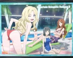 [중고] 태피스트리 아이템 (풀) B3 태피스트리 [어떤 과학의 초전자포 S]