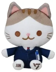 2025年最新】seventeen ぬいぐるみ 服の人気アイテム - メルカリ