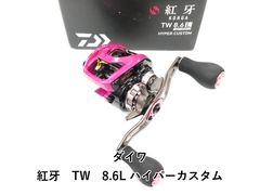 ダイワ ソルティスト エクストリーム ベイジギング 掛け調子 STX-BJ-R