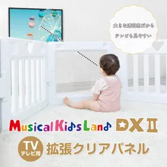 【極美品】	日本育児 ミュージカルキッズランドDX II テレビ用拡張パネル
