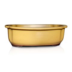 【未使用】盆栽鉢 9号 木瓜鉢 モッコ鉢 黄土色 黄釉 瀬戸焼 陶器 大型 中型 雑木 松柏 約28センチ 植木鉢 苔 うめきち盆栽用品店