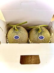 庄内砂丘特産　アンデスメロン　3L4個2箱　家庭用　訳あり 庄内砂丘特産 アンデスメロン 3L4個2箱 家庭用 訳あり - メルカリ