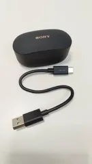 【純正品】SONY WF-1000XM4 ケースのみ！