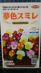 夢色 スミレ モーニング パンジー 種 郵便 ３袋セット