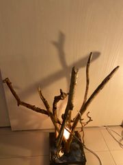 滝口入道　流木アート　インテリア　LED間接照明