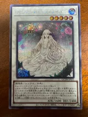 ガーデン・ローズ・メイデン 絵違い　プリズマ　プリシク 匿名配送 遊戯王 ガーデン・ローズ・メイデン プリズマ プリシク