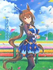 未開封 スリーブ ウマ娘 アドマイヤベガ A Amazon | ブシロード スリーブコレクション ハイグレード Vol