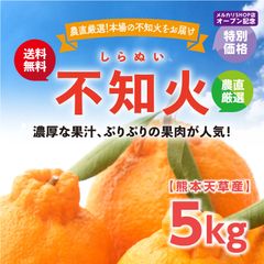 【15%OFF】 熊本天草産　不知火（しらぬい）5キロ（15玉～18玉）