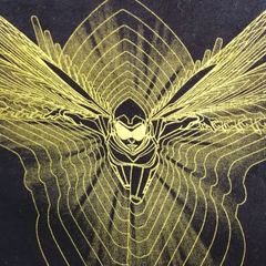 マーベル　アントマン＆ワスプ　ワプス　プリントTシャツ