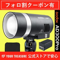 【1年保証付】Godox ゴドックス AD300Pro 300W 3000-6000K LEDモデリングランプ 1/8000 HSS 2.4G フラッシュ ストロボ ライト クロス 日本語説明書付